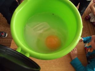 Eksperymenty z jajkiem